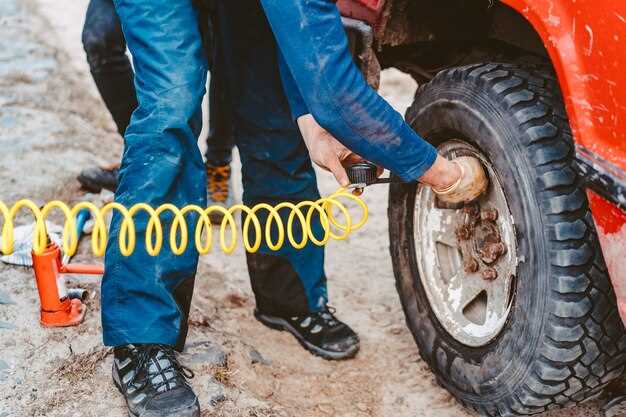 Choosing the Right Shocks for Maximum Articulation
