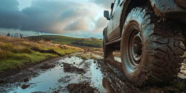 Budget Considerations: Long-Term Costs of Tire Choices