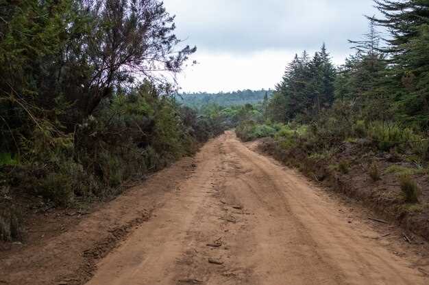 Best Off-Road Trails for Trucks Across the U.S.